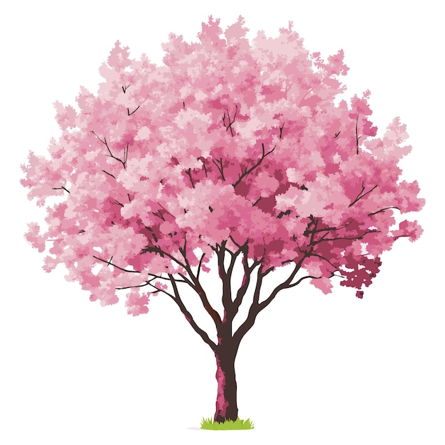 Sakura o fiore di ciliegio rosa Vettore acquerello fiore fiorente albero o lato della foresta
