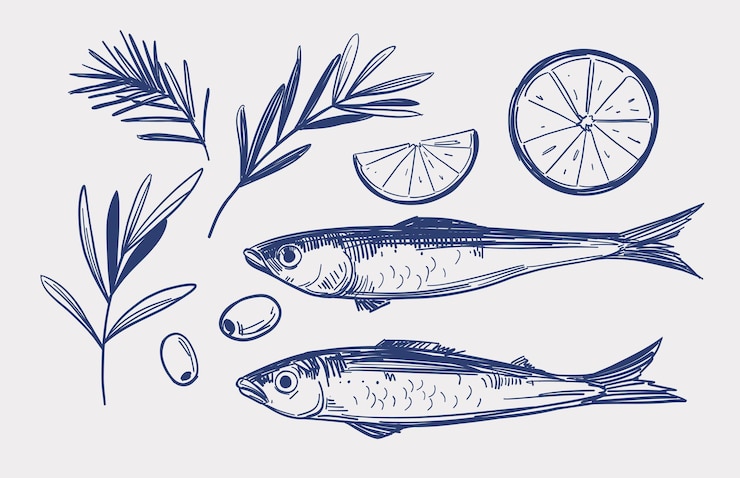Vettore sardine in una lattina di pesce set di illustrazioni vettoriali disegnate a mano