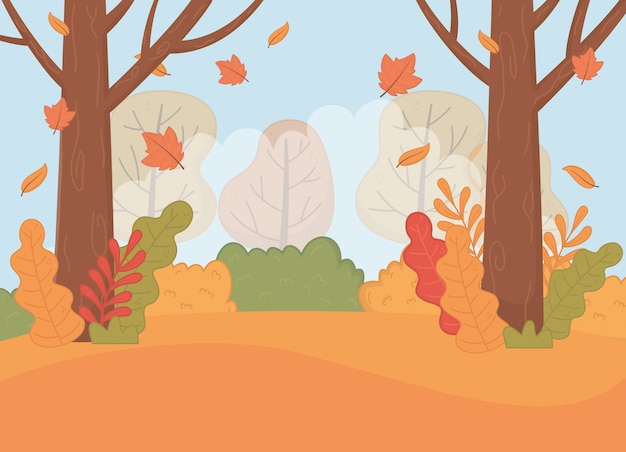 Scena del paesaggio di stagione autunnale della foresta