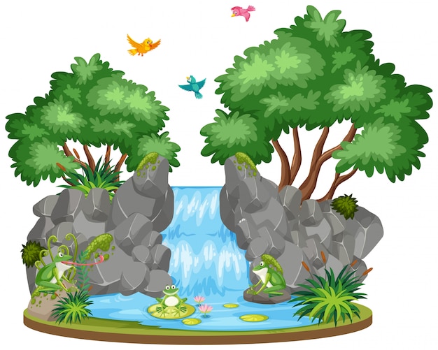 Scena di sfondo di cascata e uccelli