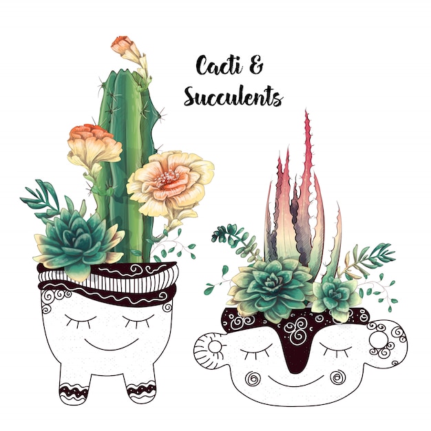 Scheda con set di cactus e succulente