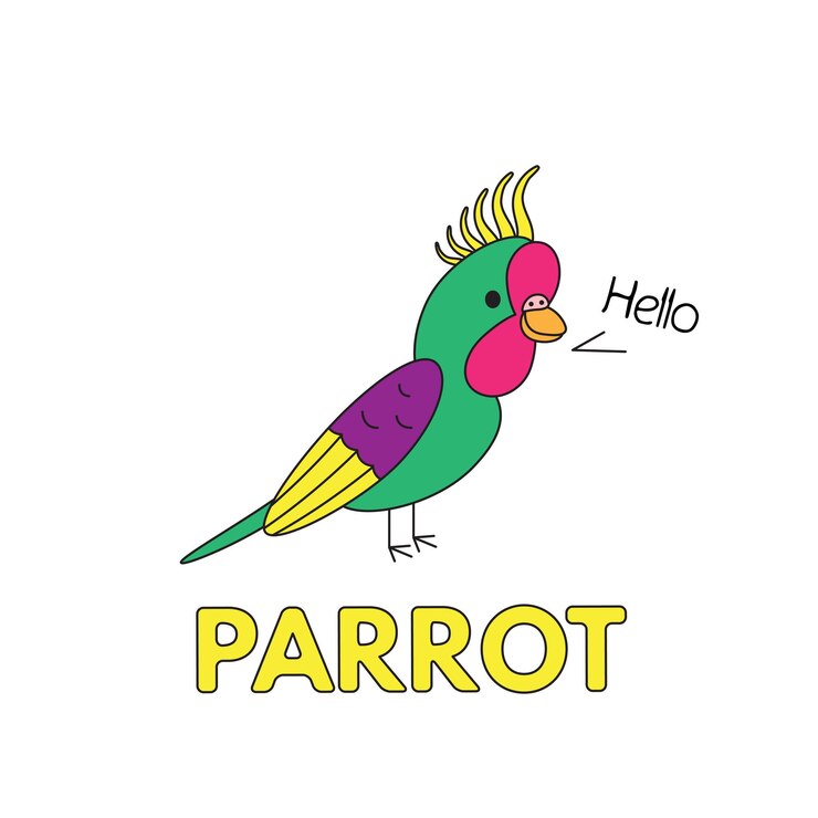 Vettore scheda flash di pappagallo cartone animato illustrazione vettoriale per l'istruzione dei bambini