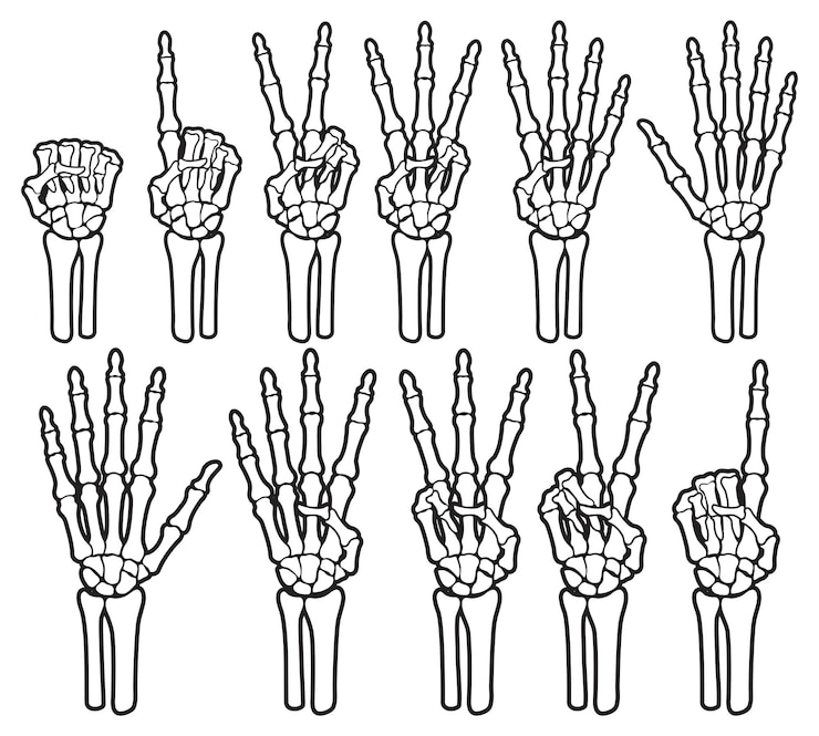 Vettore scheletro osso mano contando il numero di dita segno illustrazionixa