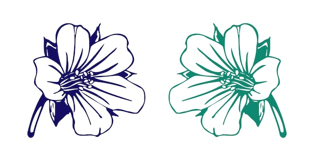 Schema botanico disegno di un fiore nel logo dell'icona colori blu e mare