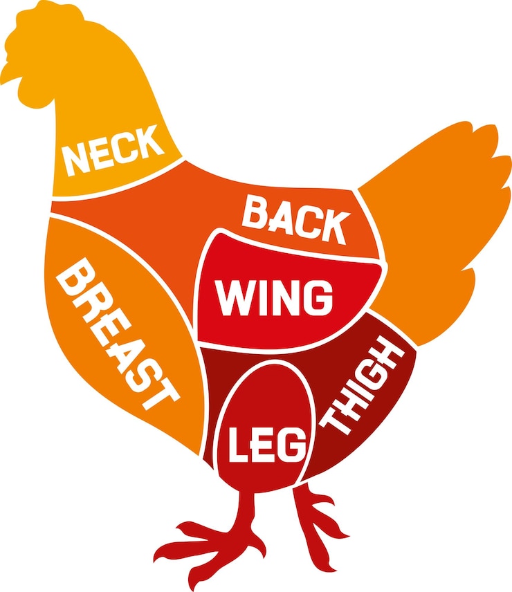 Vettore schema di tagli di pollo