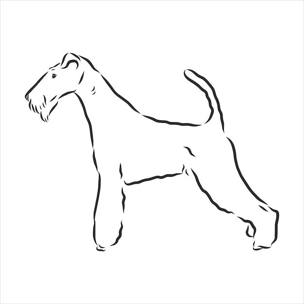 Schizzo di cane Foxterrier, illustrazione vettoriale di contorno, disegno a mano