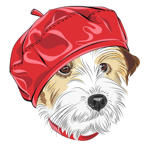 Schizzo di colore di vettore di razza jack russell terrier cane wirehaired in berretto in pelle rossa alla moda