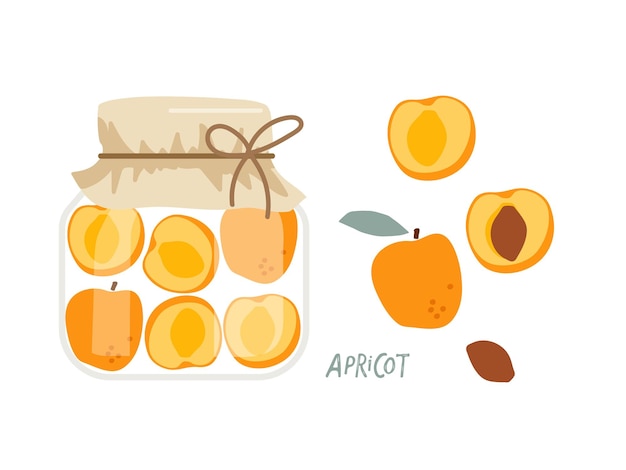 Schizzo di doodle disegnato a mano di albicocca in scatola. Frutta marinata fatta in casa in barattolo di vetro isolato. Barattolo