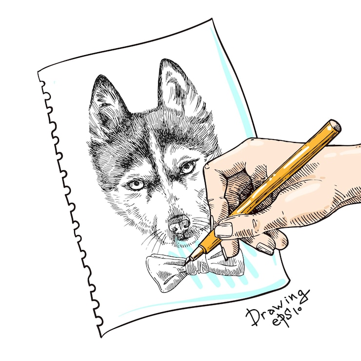 Vettore schizzo di husky