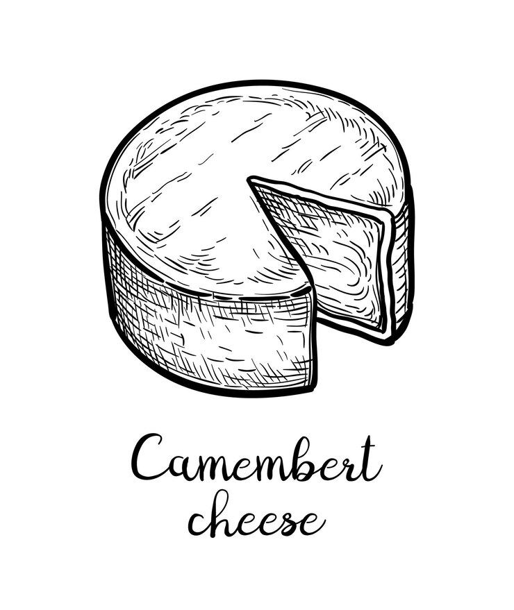 Vettore schizzo di inchiostro al formaggio camembert