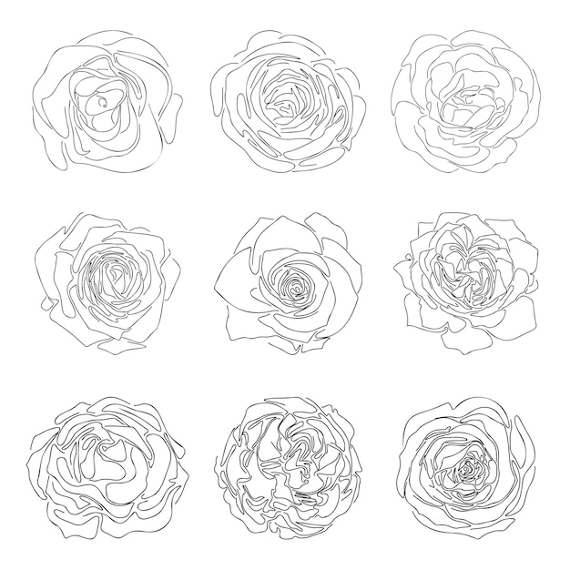 Schizzo di linea disegnato a mano di rose semplici fiori astratti collezione doddle per disegno floreale logo modello telaio