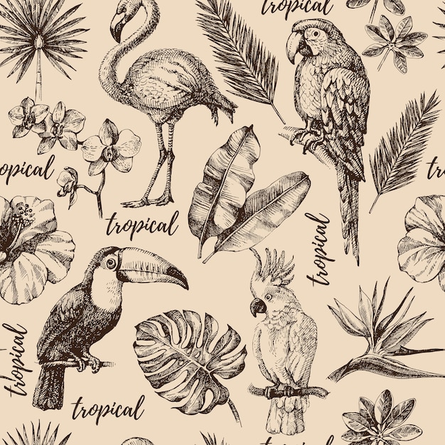 Schizzo disegnato a mano paradiso tropicale piante e uccelli motivo senza giunture vintage illustrazione vettoriale sfondo