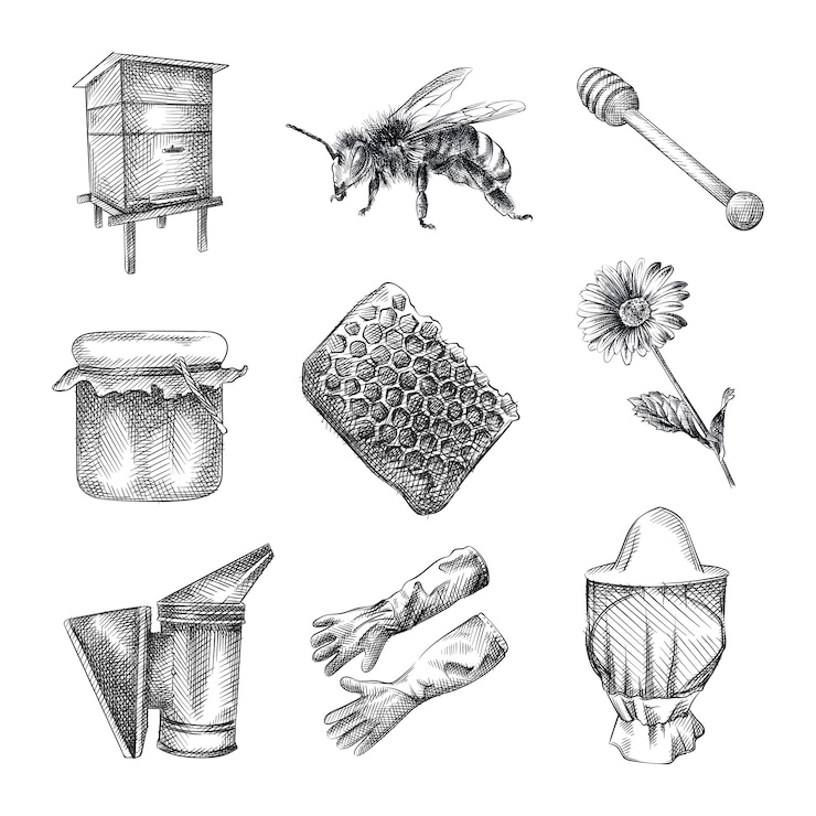 Vettore schizzo disegnato a mano set di apicoltura. il set comprende alveare, ape, vespa, barattolo di miele, cucchiaio di legno per miele, nido d'ape, fiore, guanti d'api, cappello da apicoltore, fumatore di api
