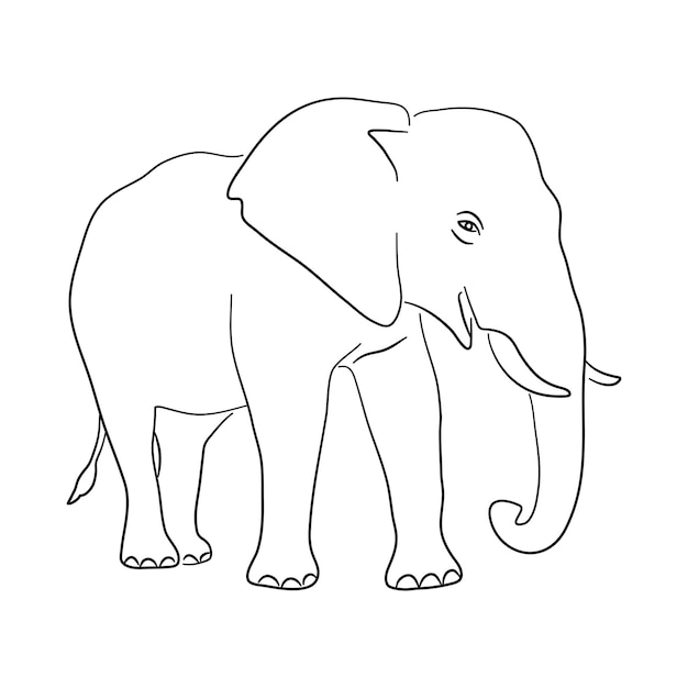 Schizzo disegno di un elefante isolato su uno sfondo bianco Illustrazione vettoriale