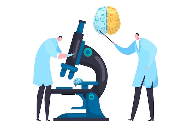 Scienziati che esaminano il cervello con il microscopio Un ricercatore che analizza il modello del cervello Un altro che aggiusta il microscope Il concetto di ricerca neuroscientifica illustrazione vettoriale