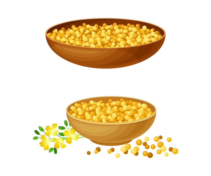 Vettore scodelle di legno di semi di senape set di prodotto naturale organico sano illustrazione vettoriale