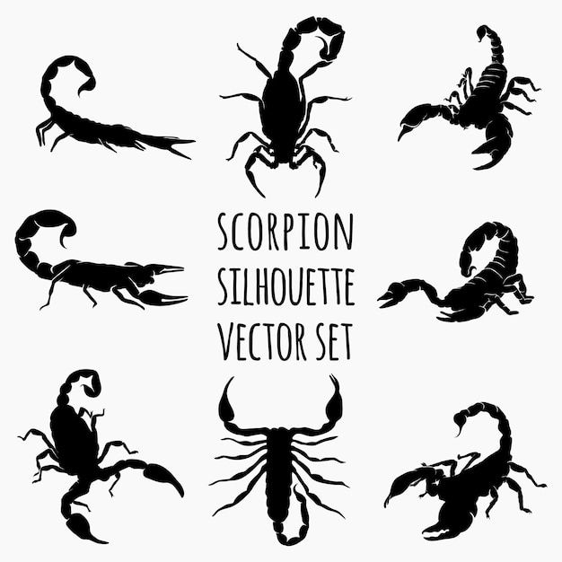 scorpione silhouette vettore set scorpione illustrazione