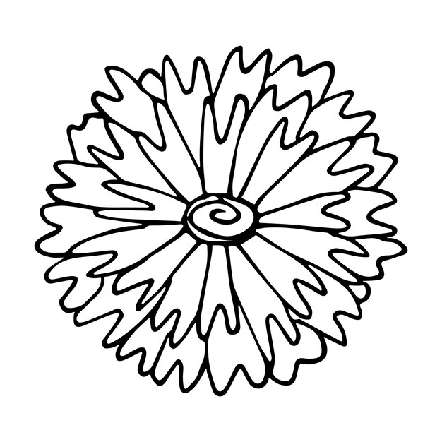 Semplice vettore fiore clipart Illustrazione floreale disegnata a mano Icona del doodle di primavera