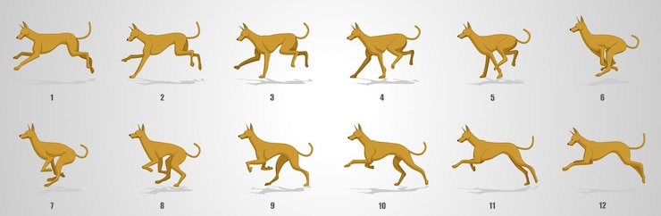 Vettore sequenza di animazione del ciclo dog run