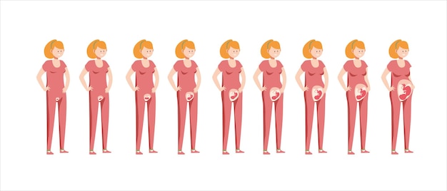 Sequenza di gravidanza Vettore di donna incinta