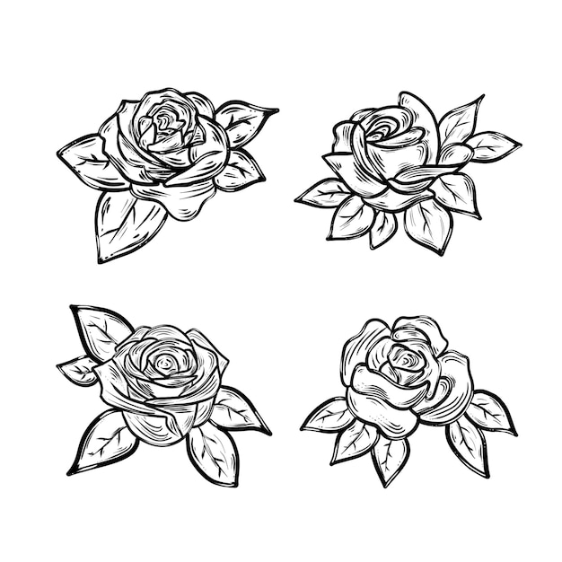 Serie di bellissime illustrazioni di rose