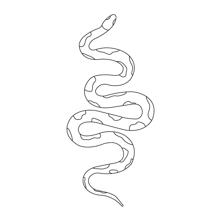 Vettore serpente serpente isolato su sfondo bianco