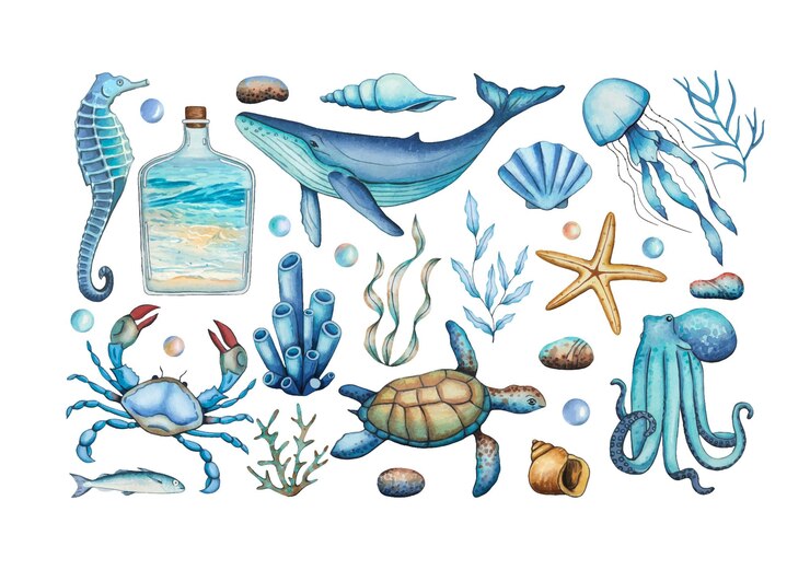 Set con animali marini alghe coralli conchiglie ciottoli mondo sottomarino illustrazione ad acquerello disegnata a mano