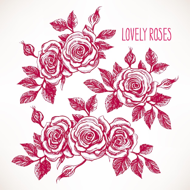 Set con bellissime rose. illustrazione disegnata a mano