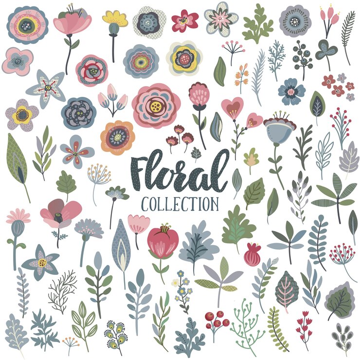 Vettore set con bellissimi fiori, foglie, rami, bacche.