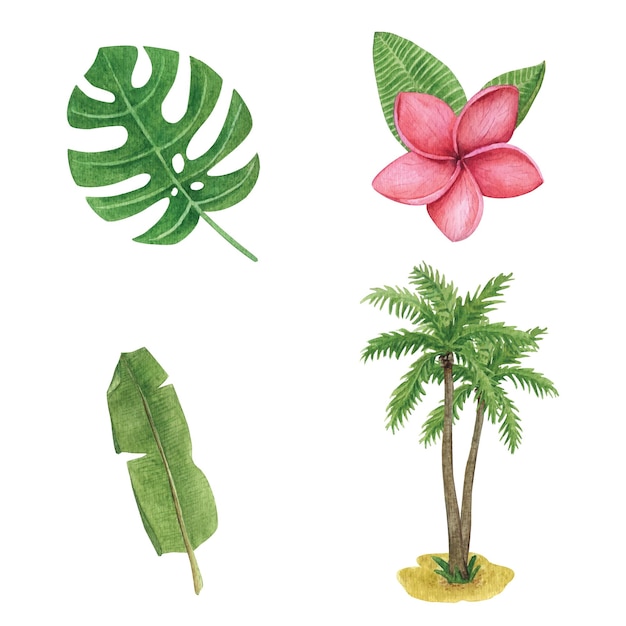 Set con foglie tropicali ad acquerello di monstera e palme Collezione estiva di piante esotiche