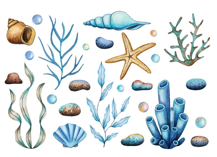 Set con stelle marine, alghe, coralli, conchiglie, ciottoli, mondo sottomarino, illustrazione ad acquerello disegnata a mano