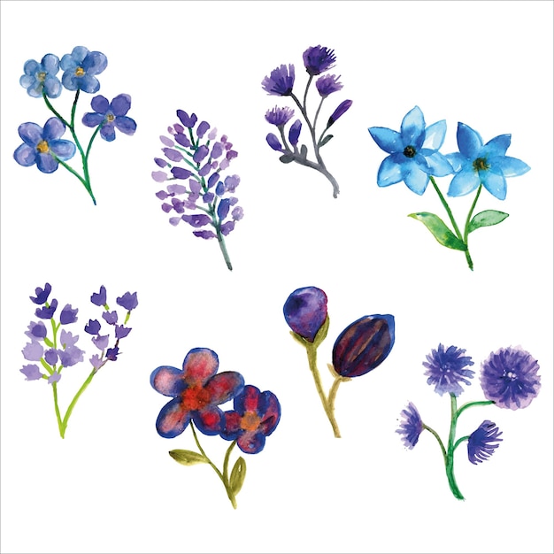 Set di acquarello di fiori selvatici viola e blu della stagione primaverile per biglietto di auguri