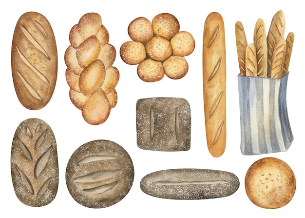 Set di acquerelli per prodotti da forno Vari tipi di pane e dolci Elementi clipart
