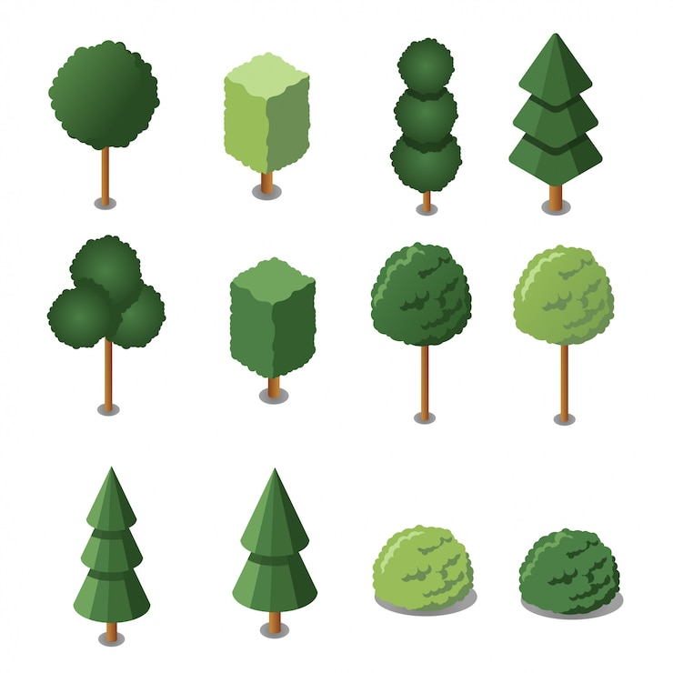 Vettore set di alberi da giardino isometrica. illustrazione. design piatto isometrico
