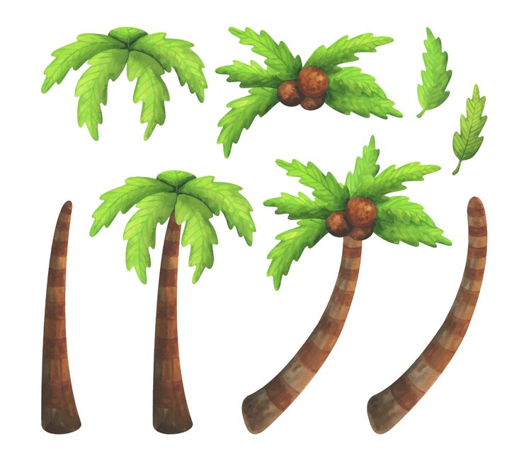 set di alberi tropicali dell'acquerello con noci di cocco