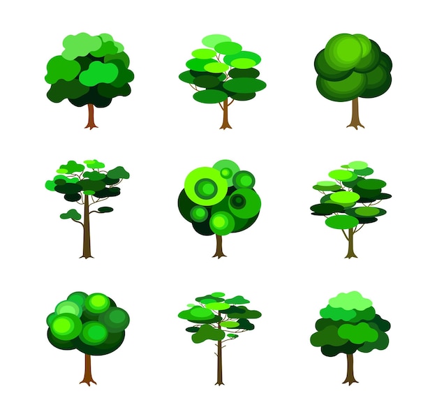 Set di alberi verdi su sfondo bianco vettori di alberi a foglia caduca e conifere in stile piatto