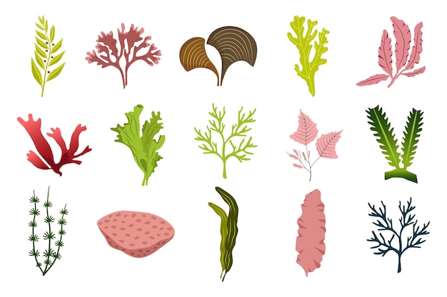 Set di alghe per acquario simpatico cartone animato Illustrazioni in stile piatto Collezione di piantagioni subacquee