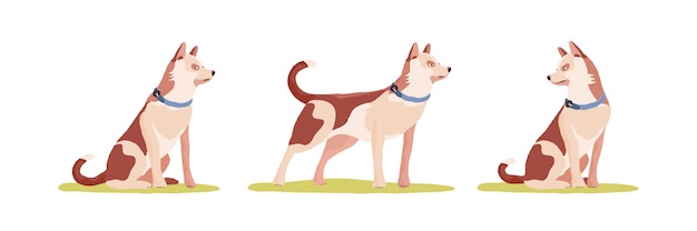 Set di animali Cane in diverse pose.
