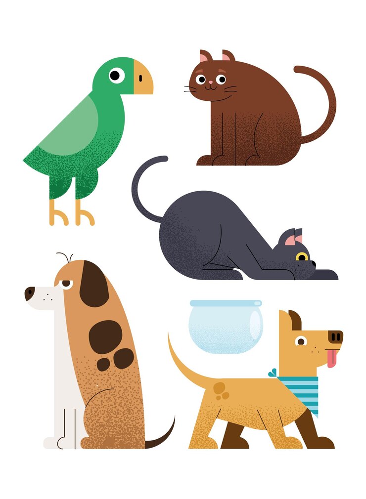 Vettore set di animali domestici per animali domestici