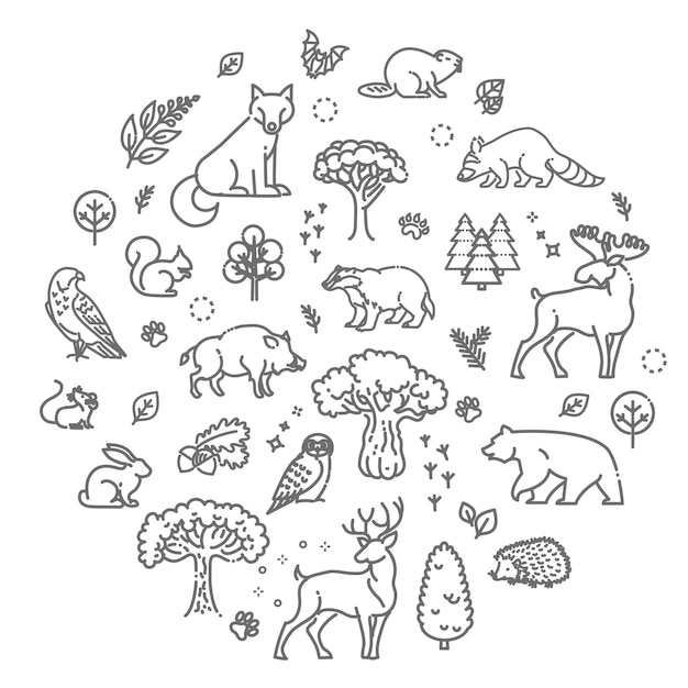 Set di animali forestali vettoriali lineari