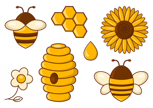 Set di api. Miele. illustrazione