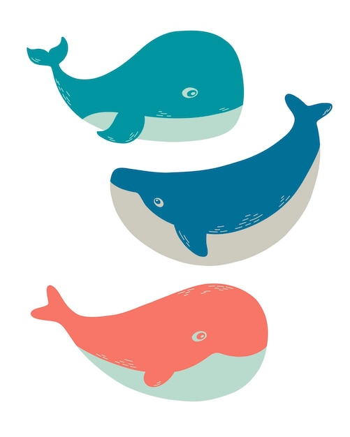 Set di balene. Illustrazione vettoriale isolata per elementi di stampa per il tuo design marino