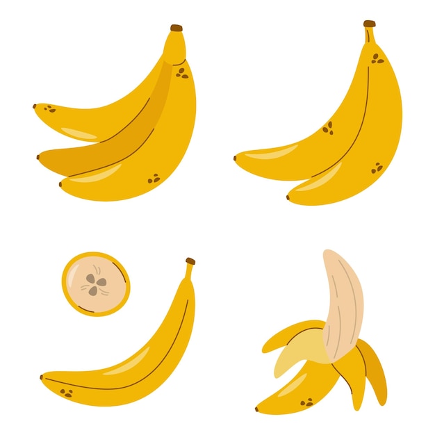 Set di banane vettoriale Banane pelate Banane a grappolo e fette di banane Frutta tropicale