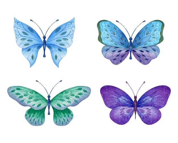 Set di bellissime farfalle ad acquerello disegnate a mano