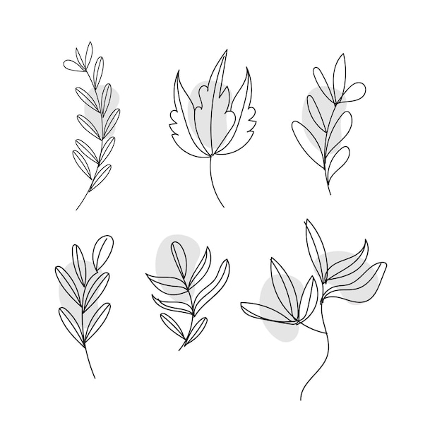 Set di botanica foglia doodle linea arte di fiori selvatici