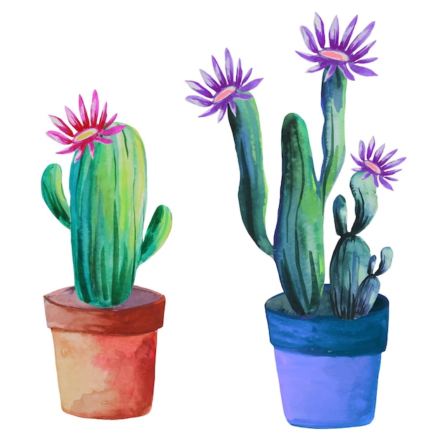 Set di cactus in fiore in un'illustrazione del vaso