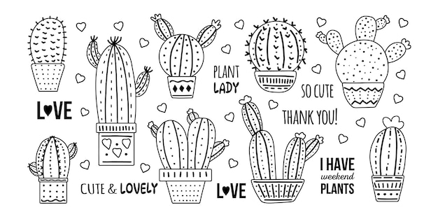 Set di cactus vettoriali disegnati a mano Disegno grafico in stile doodle di piante spinose in fiore cactus