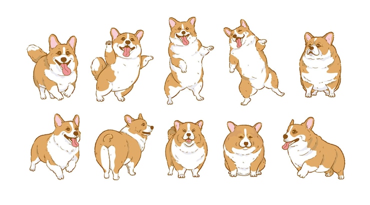Vettore set di cani corgi cartoon cartoon cartoon dog character design con colori piatti in varie posizioni