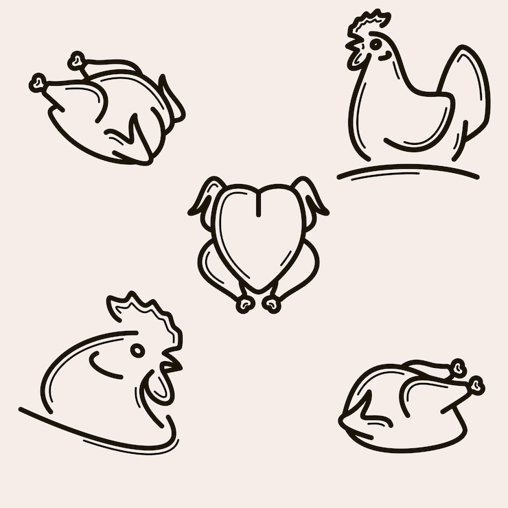Vettore set di carne di pollo. collezione icona carne di pollo. vettore