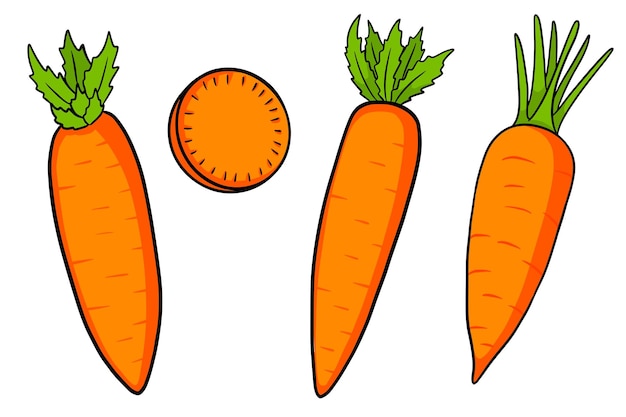 Set di carote Carote e fette fresche in stile cartone animato Illustrazione vettoriale per il design e la decorazione